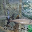 약사동 제방유적 | 울산 아이와 가볼만한 곳, 태화강생태관 2천 원의 솔직후기