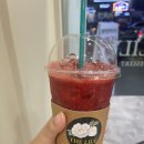죽지도 않고 다시 돌아온 카페투어