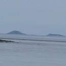 상정2구 이미지