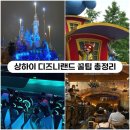 올오버키친(ALL OVER Kitchen) | [상하이 혼자여행] 디즈니랜드 꿀팁총정리 (어트랙션,불꽃놀이 시간, 추천식당, 가는법)