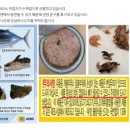 강남987호텔 이미지