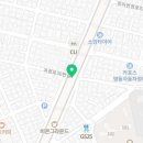 푸조와곰솔B 이미지