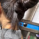 킹 태권도장 | 26년은진짜열심히살거라그