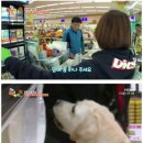 호야농장 이미지