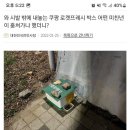 절도도 서슴없이하는 캣맘 이미지