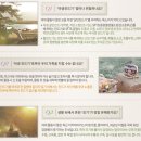 버그프리