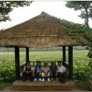 우전 태양광발전소 이미지