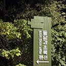 돌담과초록