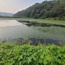 영오축산 이미지