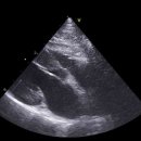 송도 클로버동물병원 이미지