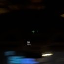IGS KOREA 네이버블로그
