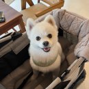 카페퉁이 이미지
