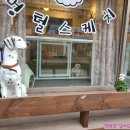 멍털스케치 이미지