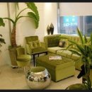 휘마의원 이미지