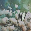 대중세탁소 이미지