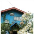 어디까페 이미지