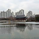 분당중앙공원 이미지