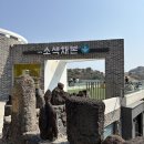 제주투어패스 카페추천 소색채본, 오알OR 이용꿀팁까지