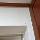 수영-304 이미지