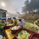 금사농업협동조합