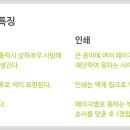 인쇄프라자 네이버블로그
