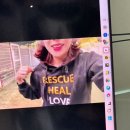 [퇴근후N] 나를 표현하는 캘리그라피 | 💸펀드레이저 동아리 2기: 🐶유기견 보호단체 유엄빠에 167만 330원 후원 완료