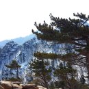 산 이미지