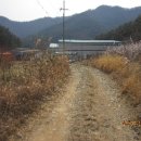 삼산면-1 이미지