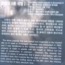 주포초등학교 | 24.5.8 보령 이지함묘-이시방신도비-오천향교-산수동소나무-보령관아문.보령성곽.보령리오층석탑--보령향교