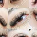 데일리아이래쉬 이미지