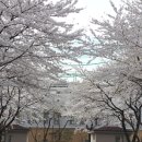 서초역 | 서초역 맛집 피에프창 서초점 주말 런치 후기