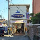 7304 | 여수꿀빵 사랑빵집 솔직후기｜생강·계피 비교부터 옥수수술빵까지 전부 먹어봄