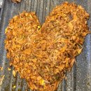 밥이랑 술이랑 이미지