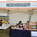 에코아로마공주