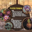 외정공원 이미지