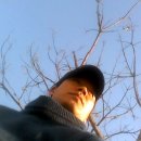 포은대로-1 이미지