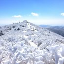 고드름축제장 | 강원 태백 겨울여행 코스, 태백산 눈축제부터 삼수령 자작나무 숲까지
