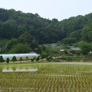 용연1통마을회관 이미지