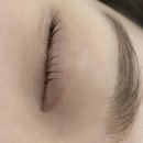 선의상 | 여수 속눈썹펌 잘하는곳 찾는다면? 신기동 선의 미학 속눈썹펌 후기
