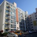 고흥읍 흥양길 이미지