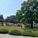 수봉공원 (인공폭포) 이미지