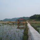 우리방 이미지