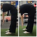 서래스포츠 | 서래마을 헬스 ] 필라테스?? 피티?? 다 거기서 거기 아니야??