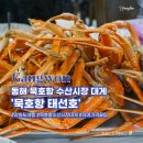 태선호 이미지