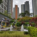 큰숲부동산공인중개사사무소 이미지