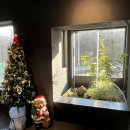 바이서유 이미지