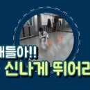 하늘 태권스쿨 이미지
