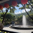 막내카프라자세차장 | 다낭여행 필수코스 바나힐, 오후권+비어플라자 후기