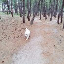 썬비치게스트하우스 이미지