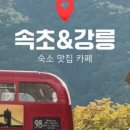 소돌슈퍼 | 강릉 맛집과 여행 코스 정리